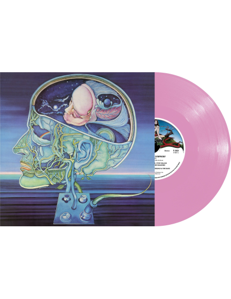 Clearlight Symphony - Clear Light Symphony - RSD 2020 (Vinyle)