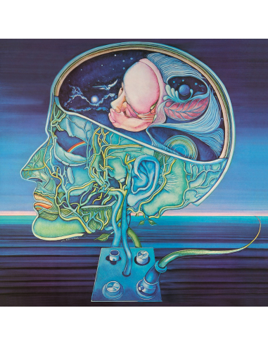 Clearlight Symphony - Clear Light Symphony - RSD 2020 (Vinyle)