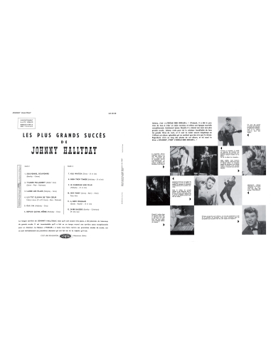 Johnny Hallyday - Les Plus Grands Succès - RSD 2020 (Vinyle)