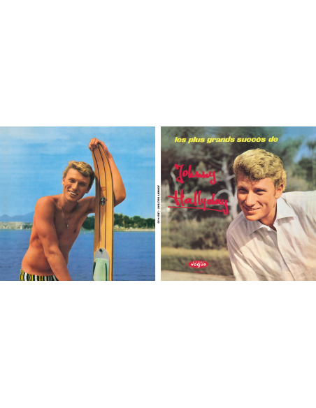 Johnny Hallyday - Les Plus Grands Succès - RSD 2020 (Vinyle)